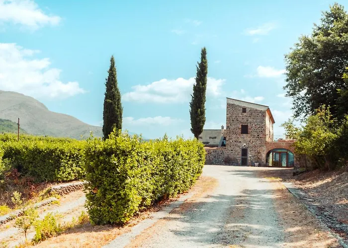 Country House Le Vigne B&B